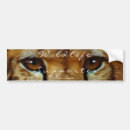 Recherche de guepard voiture autocollants Gros chats