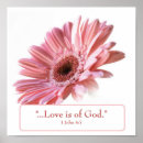 Recherche de daisy posters Rose