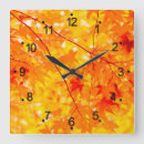 Recherche de belle nature horloges Photographie de la nature