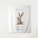 Recherche de lapin photographie Fond