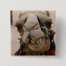 Recherche de glands badges Animal