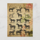 Recherche de cheval noir cartes postales Rétro