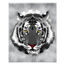 Recherche de tigre blanc noir posters Faune