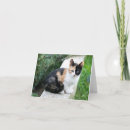 Recherche de opera invitations Film