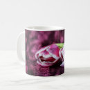 Recherche de tulp Pour elle