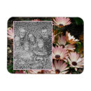 Recherche de marguerite rose magnets Fleur