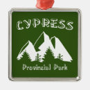 Recherche de arbre de cyprès Nature