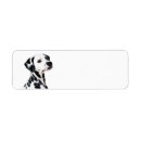 Recherche de chien dalmatien cartes invitations Amoureux des animaux