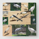 Recherche de chicken horloges Bird