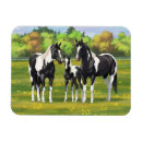 Recherche de cheval magnets Quart de cheval
