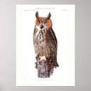 Recherche de illustration hibou posters Vintage