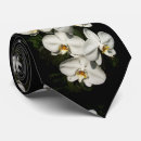 Recherche de phalaenopsis Fleurs tropicales
