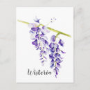 Recherche de glycine cartes postales Botanique