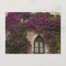 Recherche de mur rose cartes postales Violet