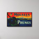 Recherche de pruneaux Étiquettes