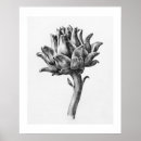 Recherche de artichaut art Fruit