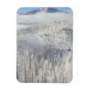 Recherche de pikes magnets Brume