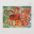 Recherche de poulpe vintage cartes postales Nature