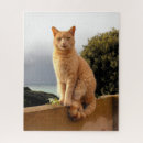 Recherche de mignon chat puzzles Gingembre