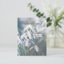 Recherche de snowdrops cartes postales Chute de neige