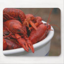 Recherche de écrevisses tapis souris Crabe