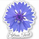 Recherche de timbre bleu de fleur Printemps