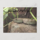 Recherche de vip cartes postales Serpent