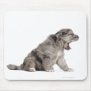 Recherche de bruxelles tapis souris Dog
