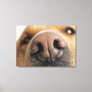 Recherche de extrémité art Horizontal