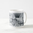 Recherche de lamantin tasses Faune