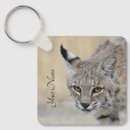 Recherche de bobcat porteclés Félin