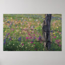 Recherche de état du texas posters Bleu