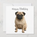 Recherche de pug Anniversaire