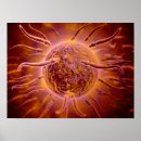 Recherche de biologie cellulaire posters Illustration