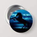 Recherche de cheval noir badges Équin