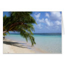 Recherche de strand Palmier