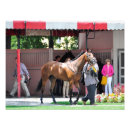 Recherche de pouliches art Cheval