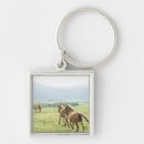 Recherche de fonctionnement photographie Chevaux