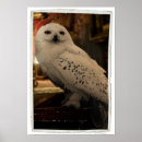 Recherche de mort posters Reliques de la mort