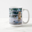 Recherche de coyote tasses Animaux