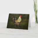 Recherche de basse cour anniversaire cartes Coq