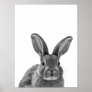 Recherche de lapin blanc posters Imprimer