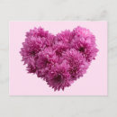 Recherche de fleur de marguerite cartes postales Mère