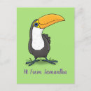 Recherche de toucans cartes postales Illustration