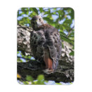 Recherche de queue magnets Faune
