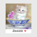 Recherche de yeux bleus autocollants Chaton blanc