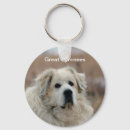 Recherche de pyrénées porteclés Chien