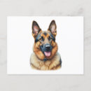 Recherche de chiot berger allemand cartes postales Amoureux de les chiens