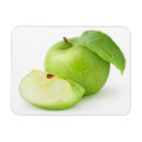 Recherche de vert pomme magnets Fruit