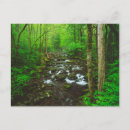 Recherche de grand format cartes postales Vert